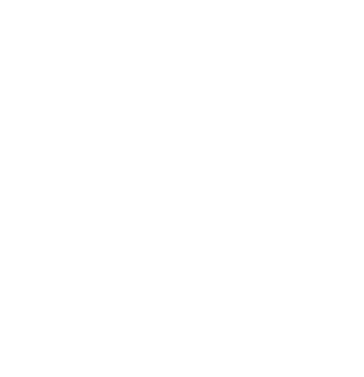 Logo paradisus