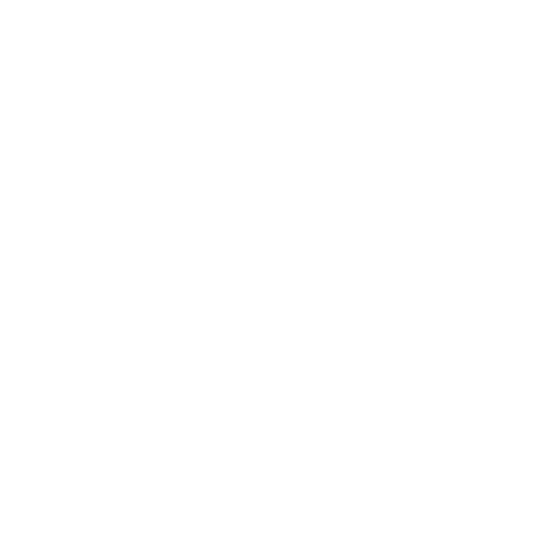 Logo paradisus