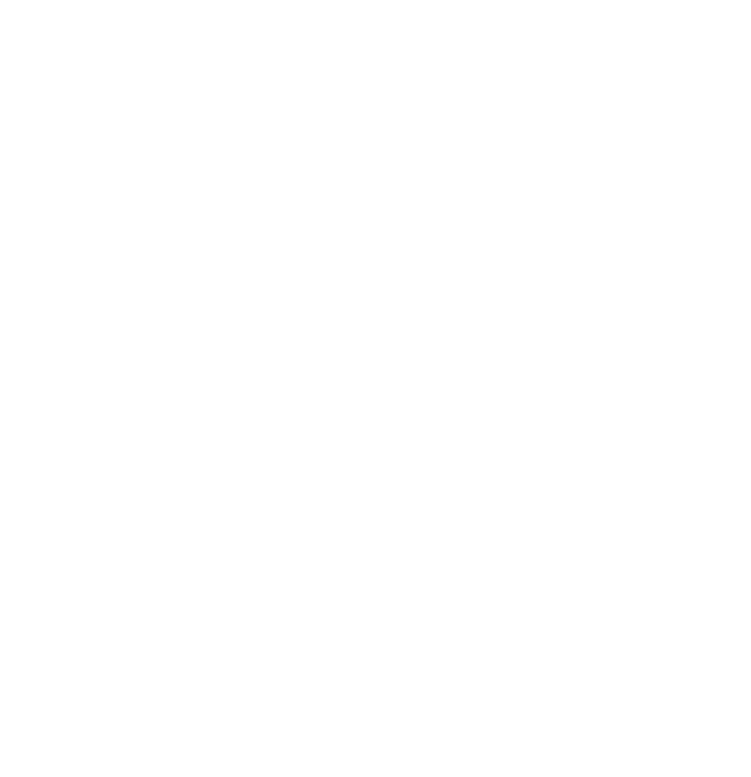 Logo paradisus