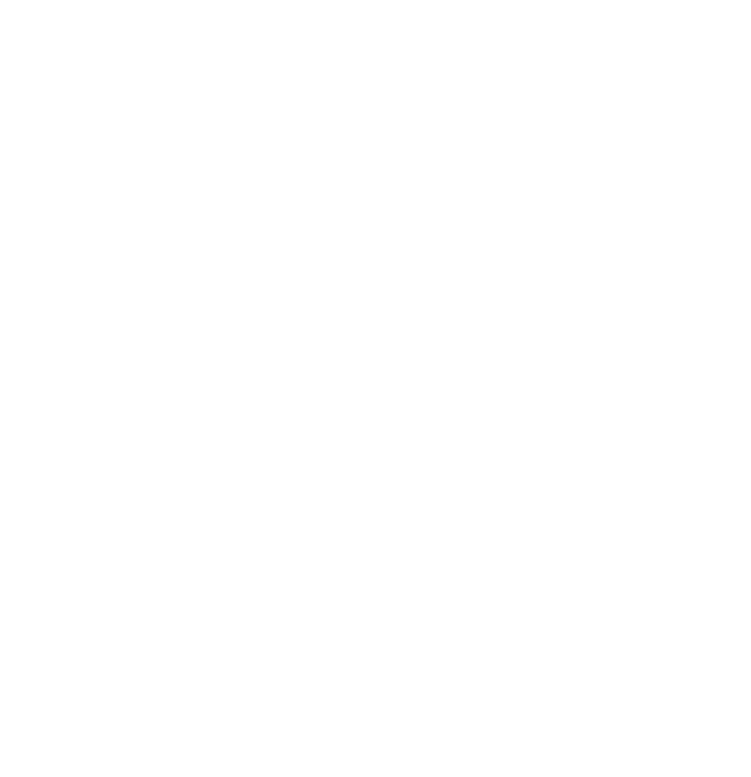 Logo paradisus
